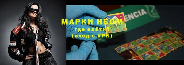 стафф Алзамай