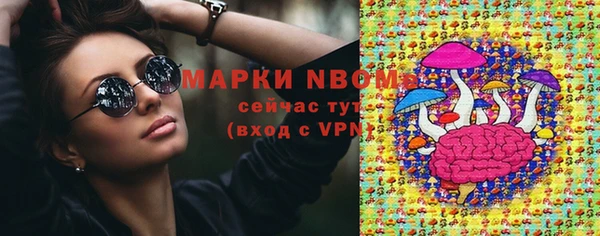 стафф Алзамай