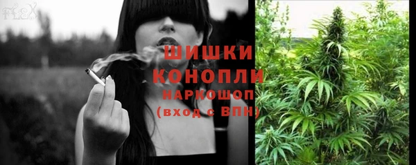прущие грибы Алексин